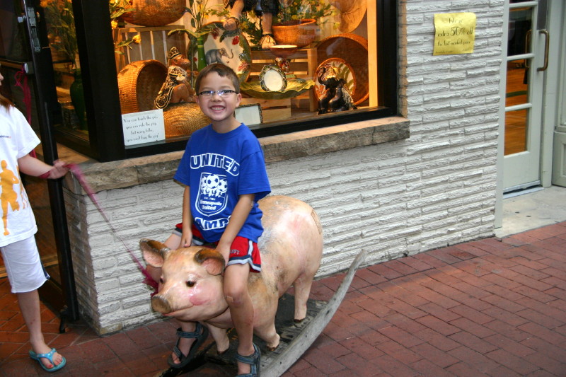 Click on image to go to the next image img_0529.jpg
