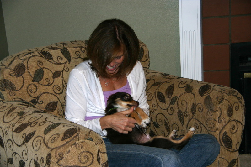 Click on image to go to the next image img_0559.jpg