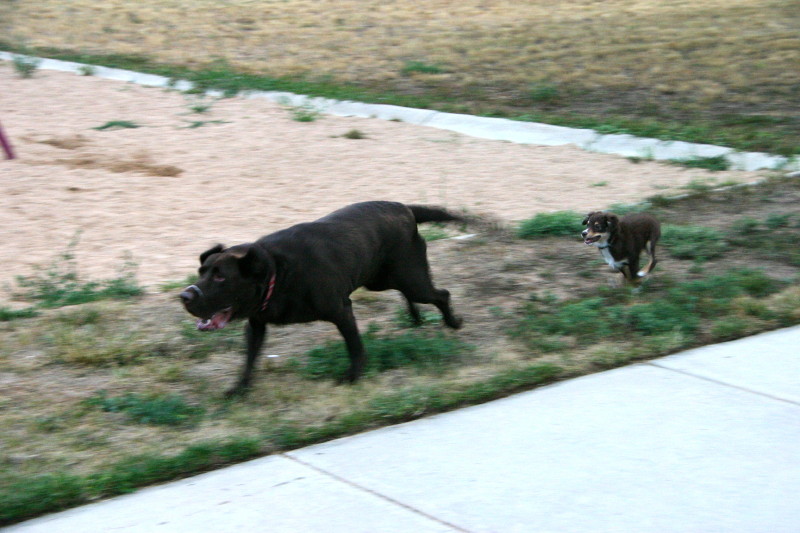 Click on image to go to the next image img_0572.jpg