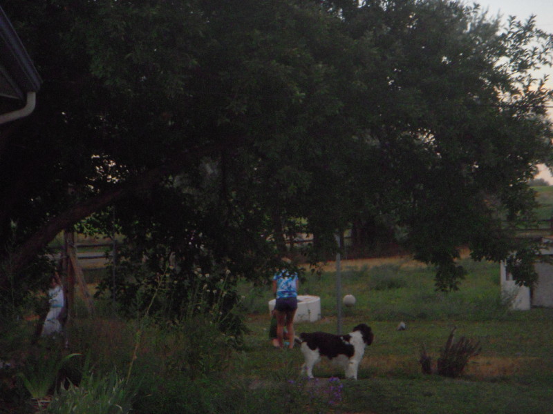 Click on image to go to the next image dscn0701.jpg